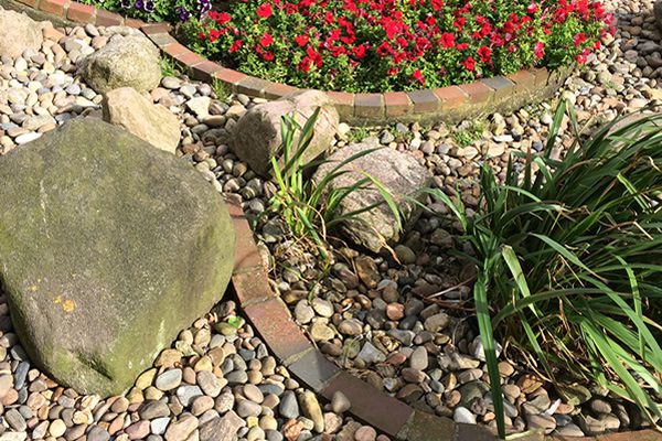 Verwilderter Garten Herrichten & Neu gestalten
