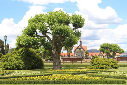 Sorgsame-Bepflanzung-unter-Baum