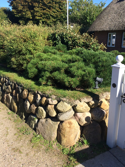 Steinwand-mit-Gartenpflanzen