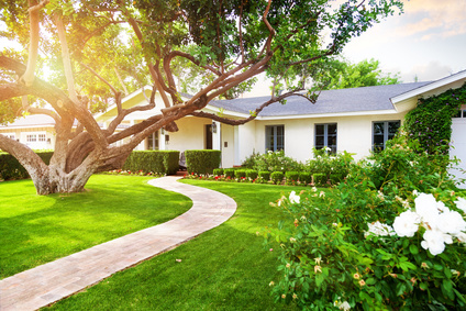 23+ elegant Bild Baum Für Garten : Den Richtigen Baum Fur Den Hausgarten Finden Und Pflanzen Heimwerker De / Auch für kleine gärten gibt es reichlich möglichkeiten, und ein richtig platzierter solitärer baum kann enorme wirkung entfalten.von den 1750 arten und sorten auf unseren parzellen eignen sich sehr viele auch für kleine gärten.